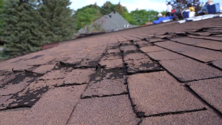 Shamokin Dam, PA Roofing Service Company