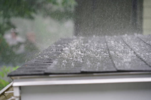 Best Asphalt Shingle Roofing  in Shamokin Dam, PA