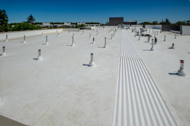 Best Roof Coating and Sealing  in Shamokin Dam, PA